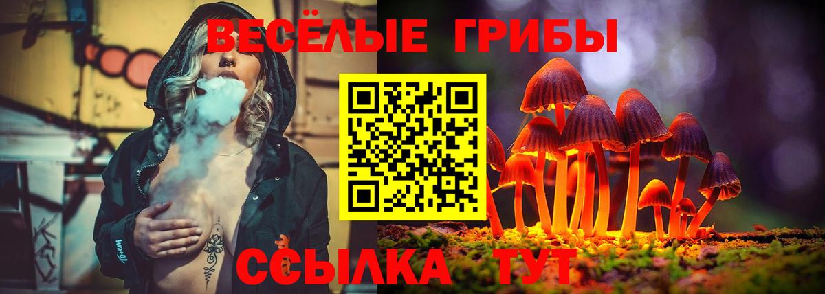 Галлюциногенные грибы MAGIC MUSHROOMS  Вход с VPN  Ярцево 